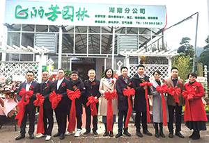 9001cc��ɳ�Գ�Ϊ��(�й�����)-�ٷ���վ