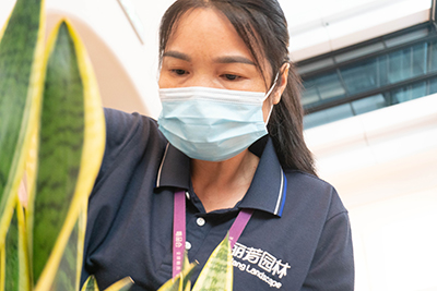 9001cc��ɳ�Գ�Ϊ��(�й�����)-�ٷ���վ