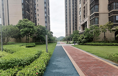 9001cc��ɳ�Գ�Ϊ��(�й�����)-�ٷ���վ