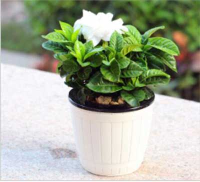 9001cc��ɳ�Գ�Ϊ��(�й�����)-�ٷ���վ