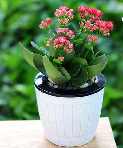 9001cc��ɳ�Գ�Ϊ��(�й�����)-�ٷ���վ