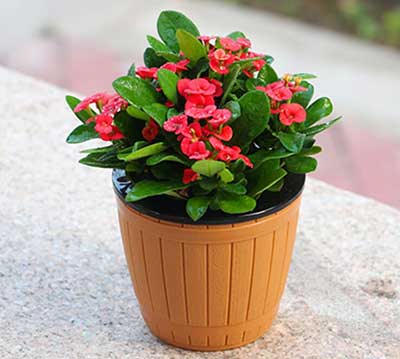 9001cc��ɳ�Գ�Ϊ��(�й�����)-�ٷ���վ