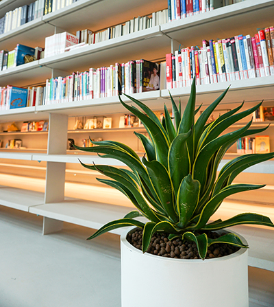 9001cc��ɳ�Գ�Ϊ��(�й�����)-�ٷ���վ