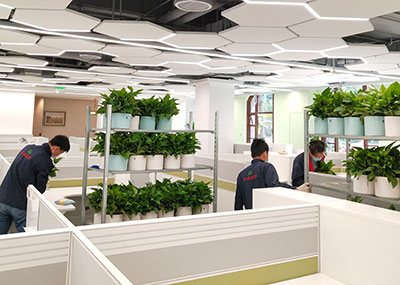 9001cc��ɳ�Գ�Ϊ��(�й�����)-�ٷ���վ