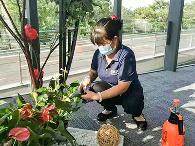 9001cc��ɳ�Գ�Ϊ��(�й�����)-�ٷ���վ