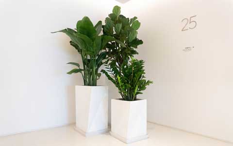 9001cc��ɳ�Գ�Ϊ��(�й�����)-�ٷ���վ