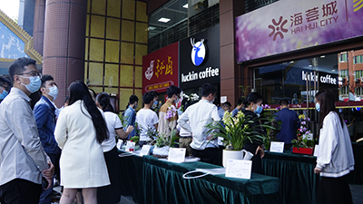 9001cc��ɳ�Գ�Ϊ��(�й�����)-�ٷ���վ