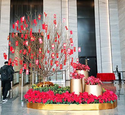 9001cc��ɳ�Գ�Ϊ��(�й�����)-�ٷ���վ