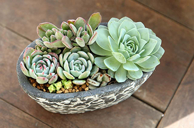 9001cc��ɳ�Գ�Ϊ��(�й�����)-�ٷ���վ