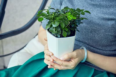 9001cc��ɳ�Գ�Ϊ��(�й�����)-�ٷ���վ