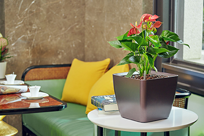 9001cc��ɳ�Գ�Ϊ��(�й�����)-�ٷ���վ