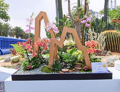 9001cc��ɳ�Գ�Ϊ��(�й�����)-�ٷ���վ