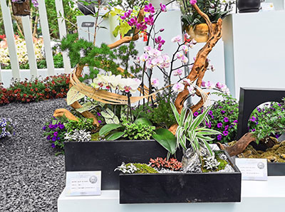 9001cc��ɳ�Գ�Ϊ��(�й�����)-�ٷ���վ