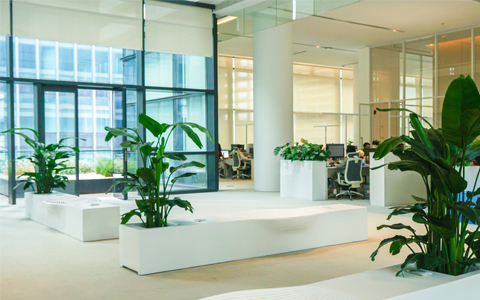 9001cc��ɳ�Գ�Ϊ��(�й�����)-�ٷ���վ