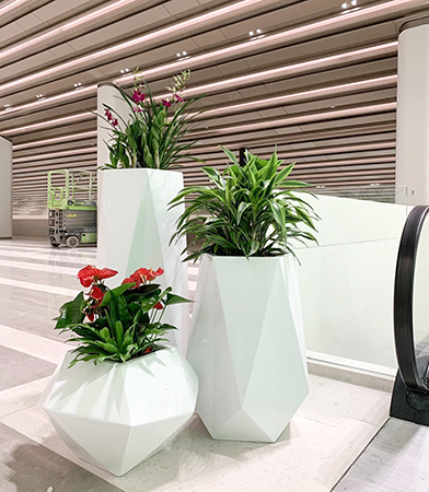 9001cc��ɳ�Գ�Ϊ��(�й�����)-�ٷ���վ