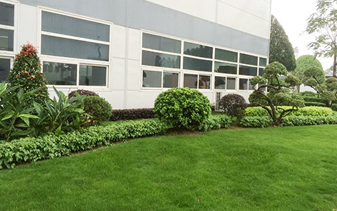 9001cc��ɳ�Գ�Ϊ��(�й�����)-�ٷ���վ