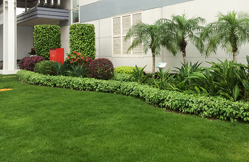 9001cc��ɳ�Գ�Ϊ��(�й�����)-�ٷ���վ