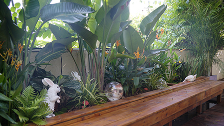 9001cc��ɳ�Գ�Ϊ��(�й�����)-�ٷ���վ