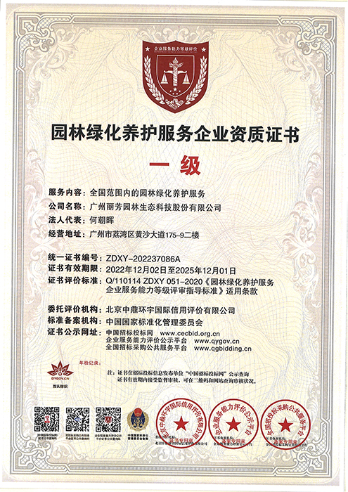 9001cc��ɳ�Գ�Ϊ��(�й�����)-�ٷ���վ