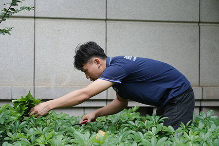 9001cc��ɳ�Գ�Ϊ��(�й�����)-�ٷ���վ