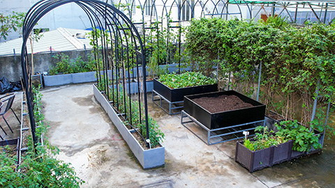 9001cc��ɳ�Գ�Ϊ��(�й�����)-�ٷ���վ