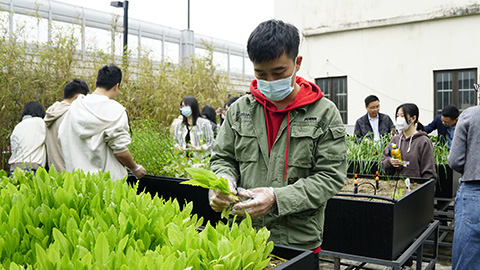 9001cc��ɳ�Գ�Ϊ��(�й�����)-�ٷ���վ