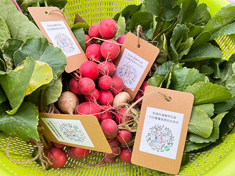 9001cc��ɳ�Գ�Ϊ��(�й�����)-�ٷ���վ