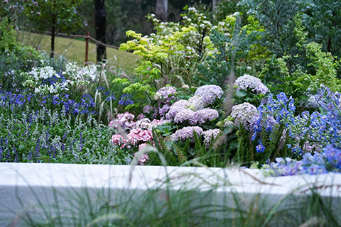 9001cc��ɳ�Գ�Ϊ��(�й�����)-�ٷ���վ