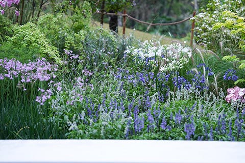 9001cc��ɳ�Գ�Ϊ��(�й�����)-�ٷ���վ