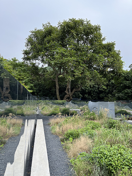 9001cc��ɳ�Գ�Ϊ��(�й�����)-�ٷ���վ