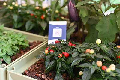 9001cc��ɳ�Գ�Ϊ��(�й�����)-�ٷ���վ