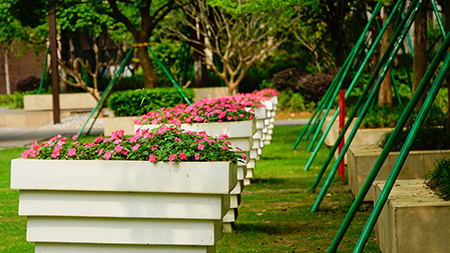 9001cc��ɳ�Գ�Ϊ��(�й�����)-�ٷ���վ