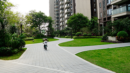 9001cc��ɳ�Գ�Ϊ��(�й�����)-�ٷ���վ