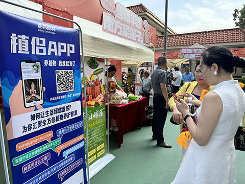 9001cc��ɳ�Գ�Ϊ��(�й�����)-�ٷ���վ