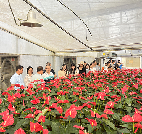 9001cc��ɳ�Գ�Ϊ��(�й�����)-�ٷ���վ