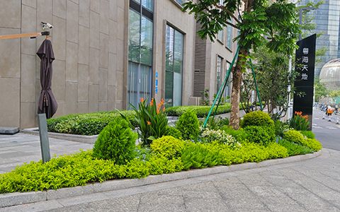 9001cc��ɳ�Գ�Ϊ��(�й�����)-�ٷ���վ