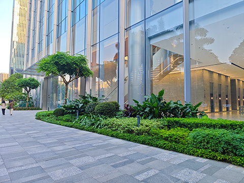 9001cc��ɳ�Գ�Ϊ��(�й�����)-�ٷ���վ