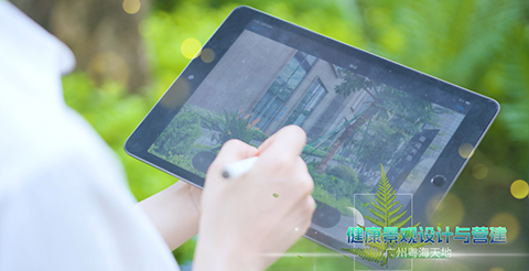 9001cc��ɳ�Գ�Ϊ��(�й�����)-�ٷ���վ