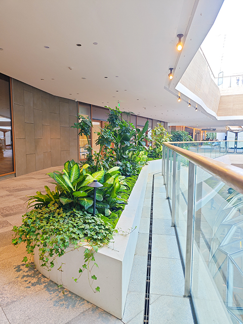 9001cc��ɳ�Գ�Ϊ��(�й�����)-�ٷ���վ