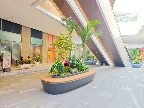 9001cc��ɳ�Գ�Ϊ��(�й�����)-�ٷ���վ