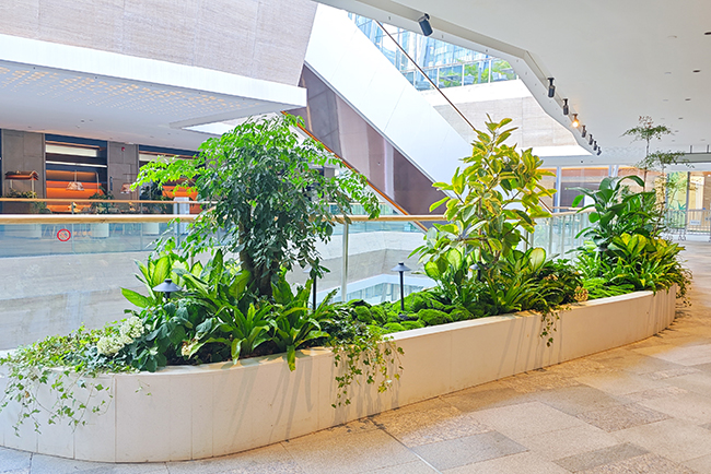 9001cc��ɳ�Գ�Ϊ��(�й�����)-�ٷ���վ