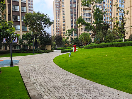 9001cc��ɳ�Գ�Ϊ��(�й�����)-�ٷ���վ