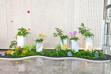 9001cc��ɳ�Գ�Ϊ��(�й�����)-�ٷ���վ