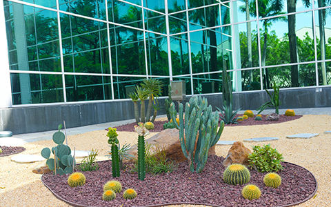 9001cc��ɳ�Գ�Ϊ��(�й�����)-�ٷ���վ