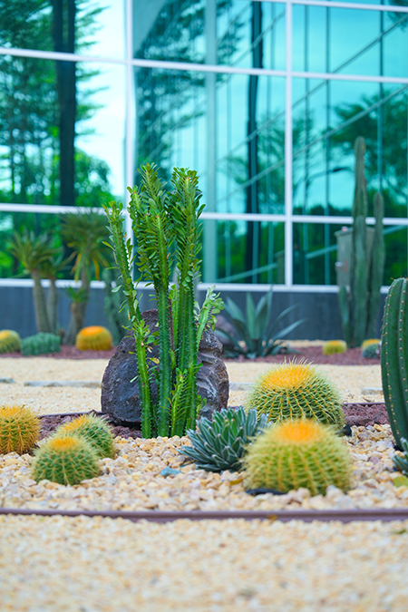 9001cc��ɳ�Գ�Ϊ��(�й�����)-�ٷ���վ