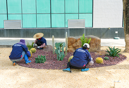 9001cc��ɳ�Գ�Ϊ��(�й�����)-�ٷ���վ