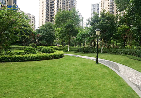 9001cc��ɳ�Գ�Ϊ��(�й�����)-�ٷ���վ