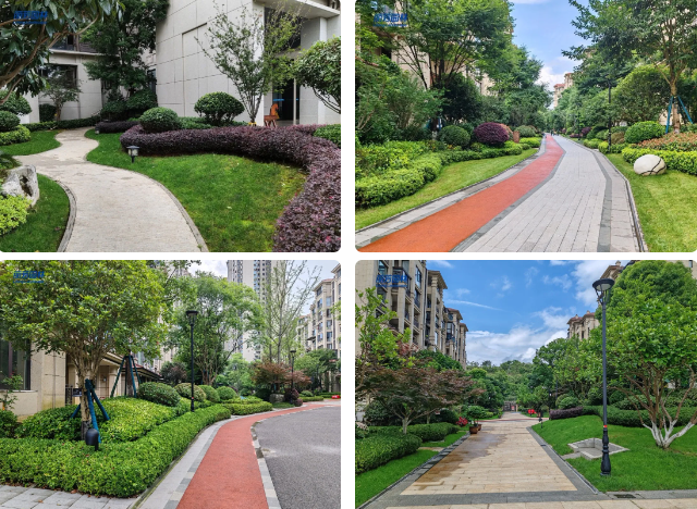 9001cc��ɳ�Գ�Ϊ��(�й�����)-�ٷ���վ