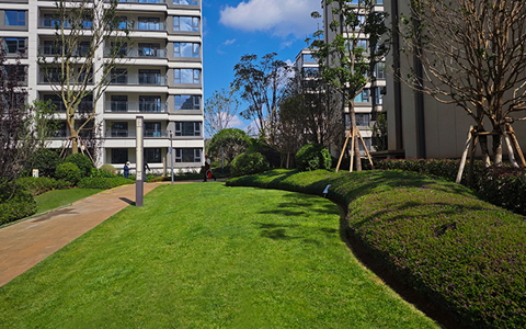 9001cc��ɳ�Գ�Ϊ��(�й�����)-�ٷ���վ