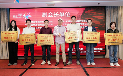 9001cc��ɳ�Գ�Ϊ��(�й�����)-�ٷ���վ